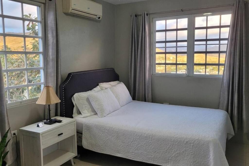 Coamo Beautiful House, Ac, 10Min Coamo Hot Springs Apartment Bagian luar foto